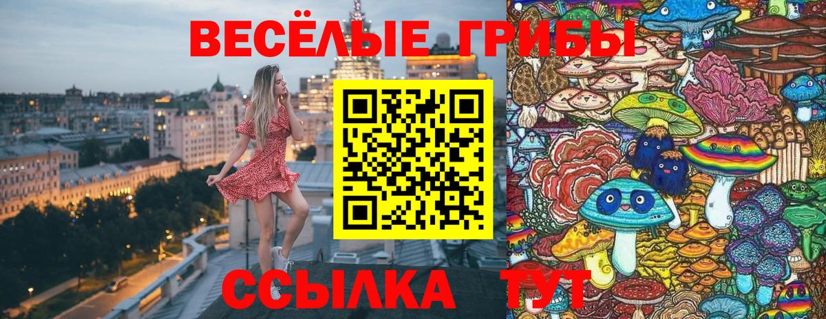 Галлюциногенные грибы мицелий  Вход с VPN  Галлюциногенные грибы ЛСД  Серов 